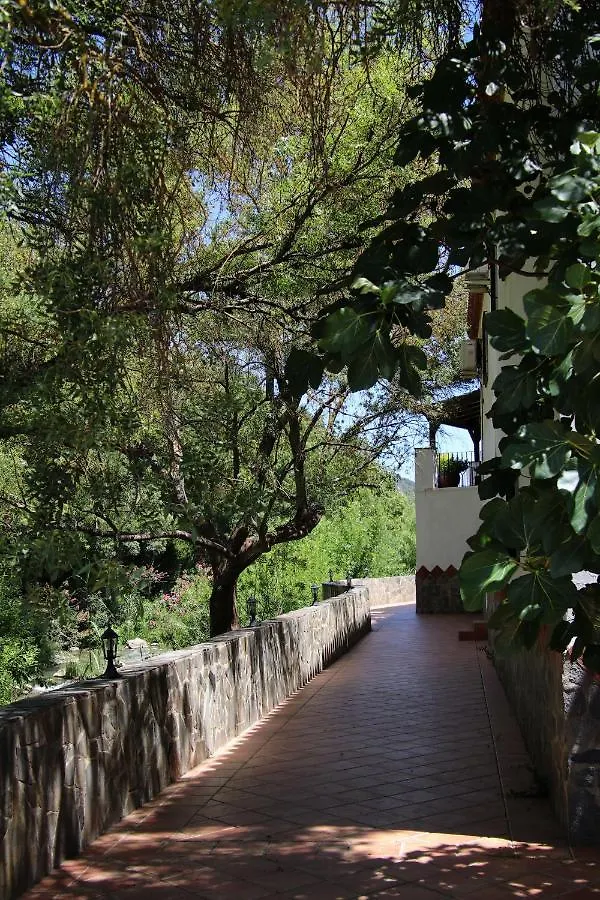 Molino Cuatro Paradas Benaojan